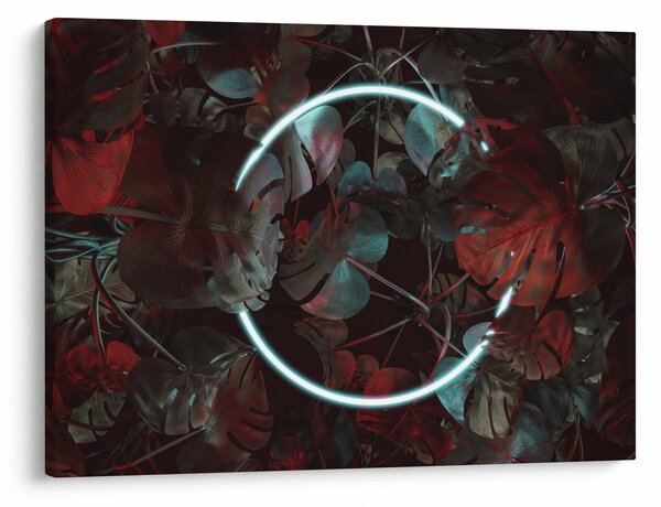 Kép - Neon kör a pálmafák között (70x50 cm)
