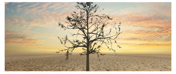 Kép - fa a sivatagban (120x50 cm)