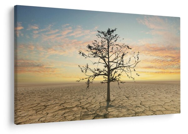 Kép - fa a sivatagban (90x60 cm)