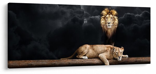 Kép - oroszlán és a nőstény oroszlán a felhőkben (120x50 cm)