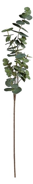 FLORISTA eukaliptusz 88 cm