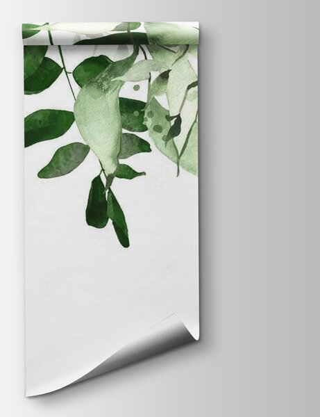 Fotótapéta Elegáns zöld levelek háttér design, Leveles fotótapéta, Népszerű fotótapéta, u72397 - Tapeko.hu