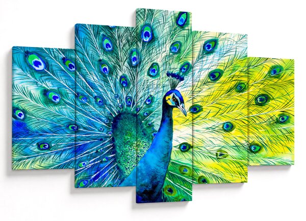 Páva képe (150x105 cm)
