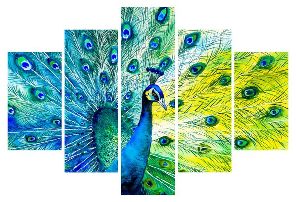 Páva képe (150x105 cm)