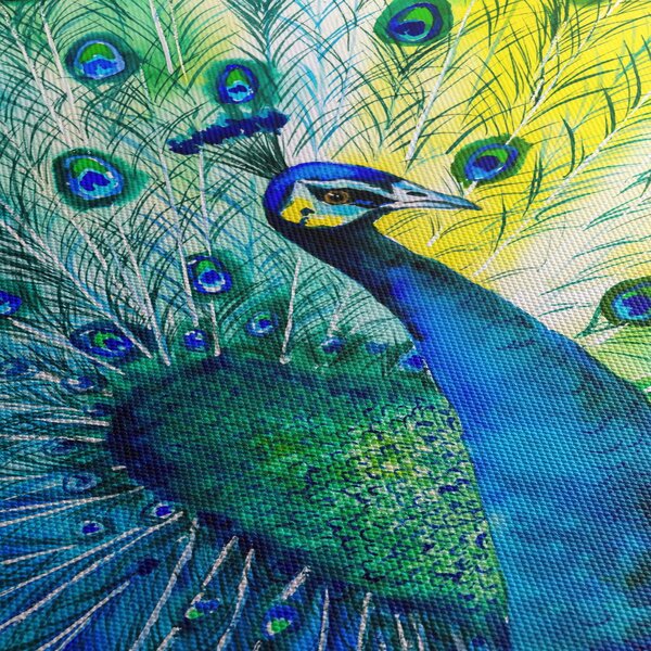 Páva képe (90x60 cm)