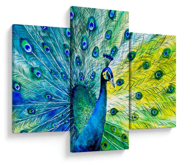 Páva képe (90x60 cm)