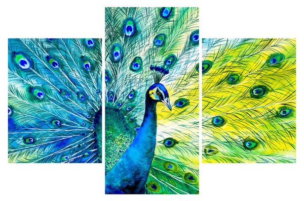 Páva képe (90x60 cm)