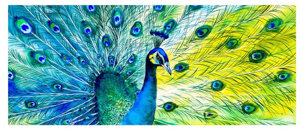 Páva képe (120x50 cm)