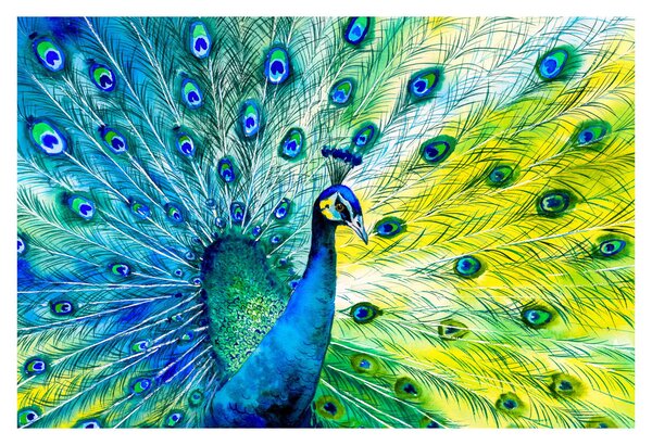 Páva képe (90x60 cm)