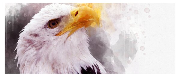 Egy sas képe (120x50 cm)