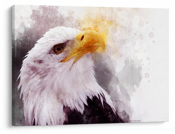Egy sas képe (70x50 cm)