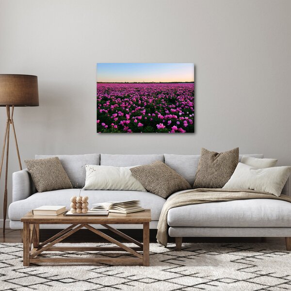 Kép - lila tulipánok rétje (70x50 cm)