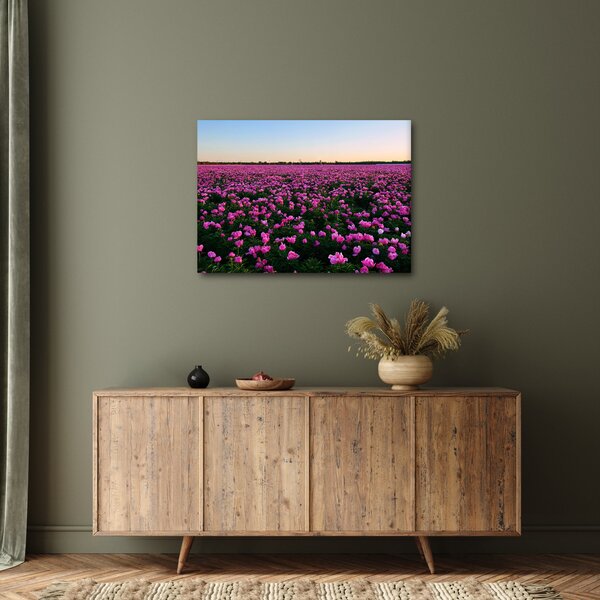 Kép - lila tulipánok rétje (70x50 cm)