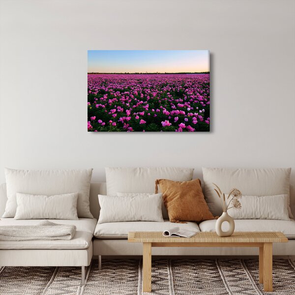Kép - lila tulipánok rétje (90x60 cm)