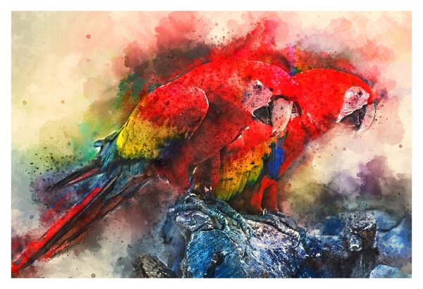 Vörös ara papagájok képe (90x60 cm)