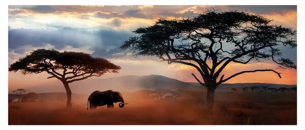 Kép - Serengeti Nemzeti Park, Tanzánia, Afrika (120x50 cm)