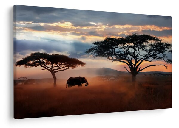 Kép - Serengeti Nemzeti Park, Tanzánia, Afrika (90x60 cm)
