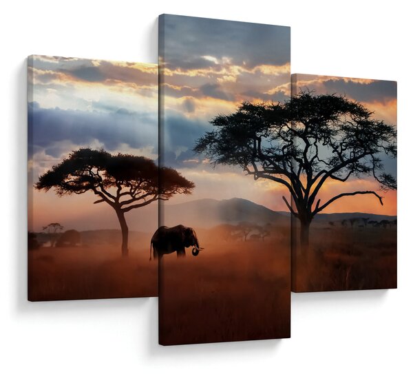 Kép - Serengeti Nemzeti Park, Tanzánia, Afrika (90x60 cm)