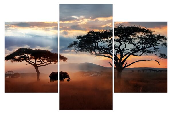 Kép - Serengeti Nemzeti Park, Tanzánia, Afrika (90x60 cm)