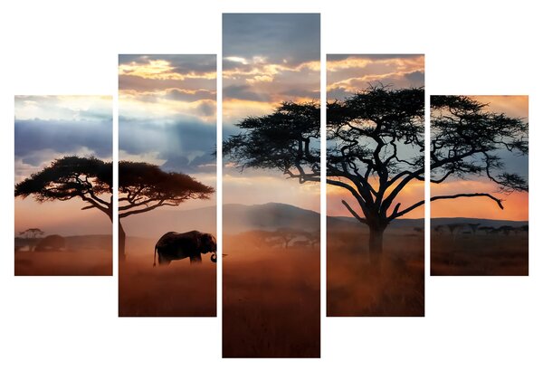Kép - Serengeti Nemzeti Park, Tanzánia, Afrika (150x105 cm)