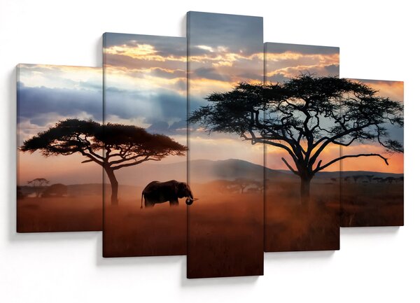 Kép - Serengeti Nemzeti Park, Tanzánia, Afrika (150x105 cm)