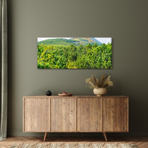 Kép - Babi Hora, Lengyelország (120x50 cm)