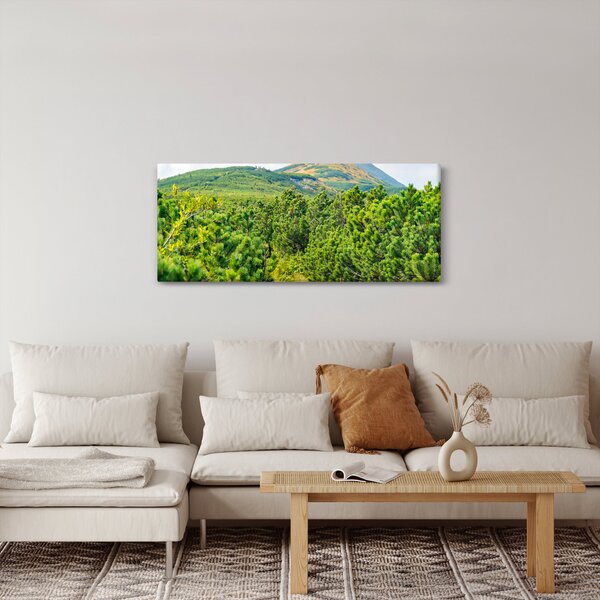 Kép - Babi Hora, Lengyelország (120x50 cm)
