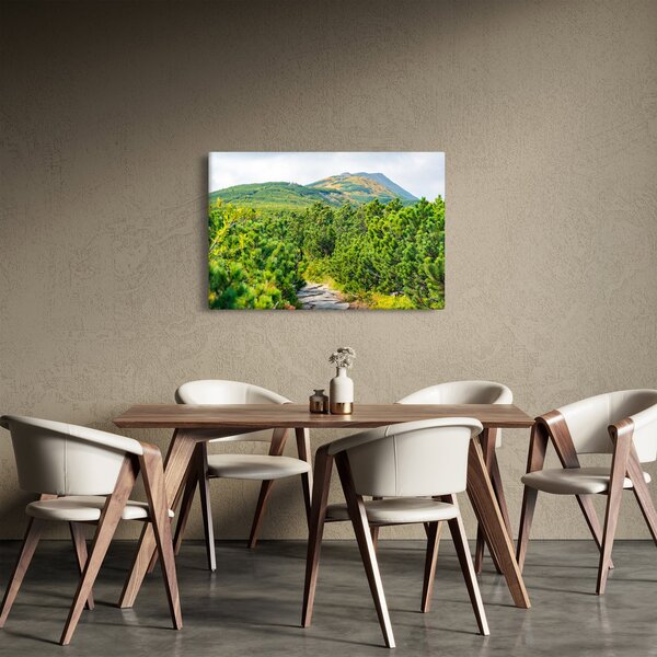 Kép - Babi Hora, Lengyelország (90x60 cm)