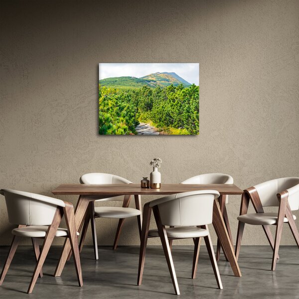 Kép - Babi Hora, Lengyelország (70x50 cm)