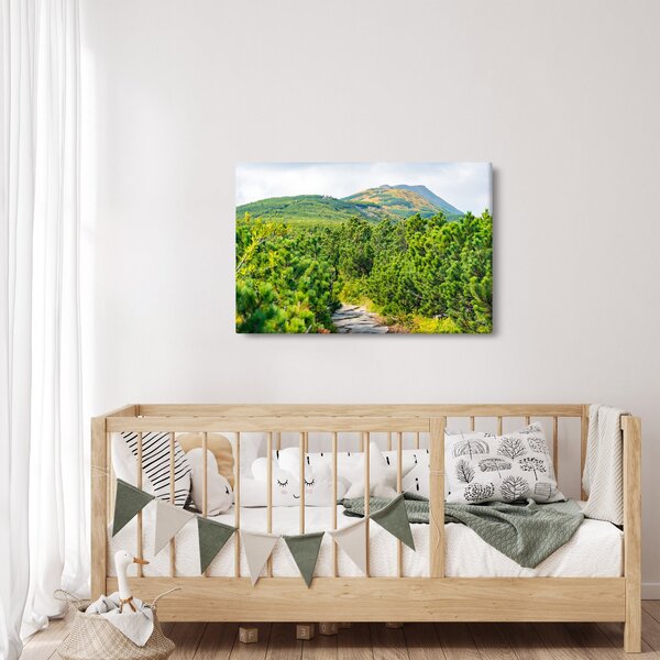 Kép - Babi Hora, Lengyelország (90x60 cm)