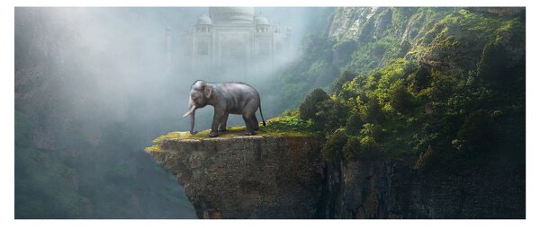 Kép - Az elefánt a Taj Mahal tetején (120x50 cm)