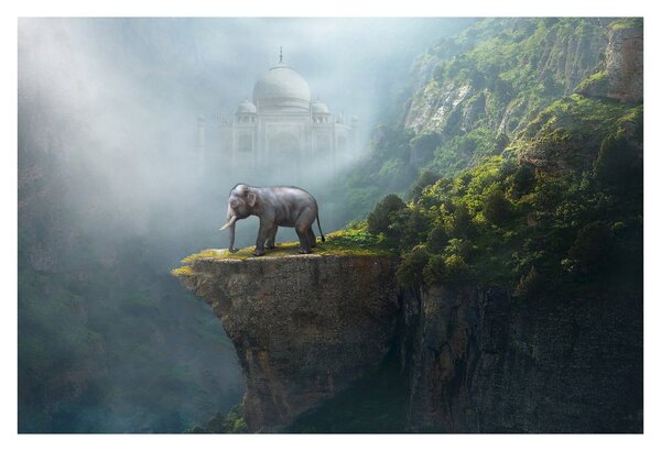 Kép - Az elefánt a Taj Mahal tetején (90x60 cm)
