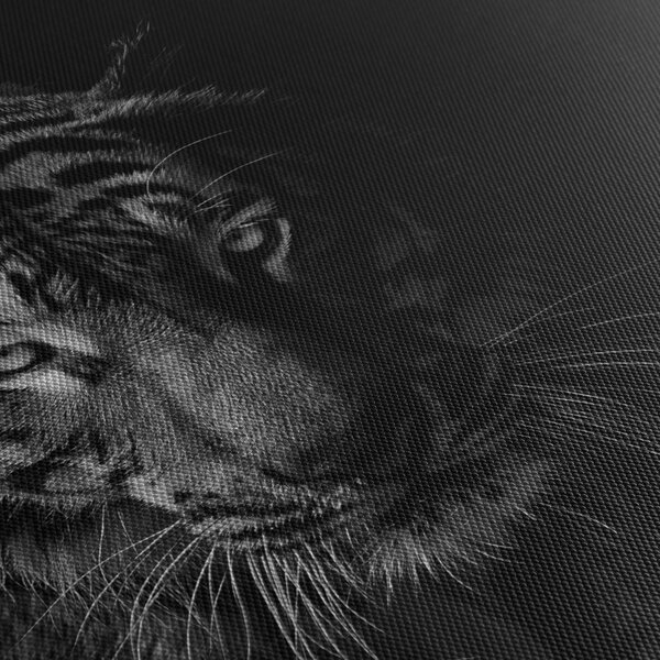 Egy vadtigris képe (90x60 cm)