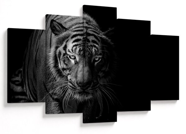 Egy vadtigris képe (150x105 cm)