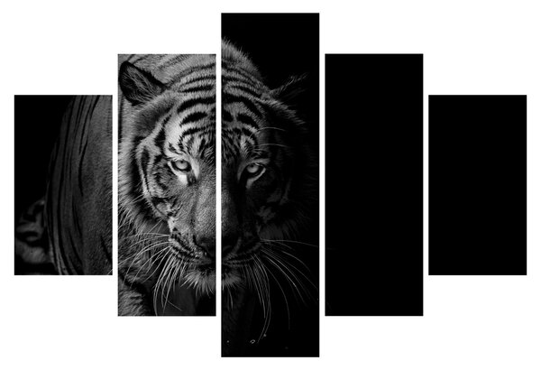 Egy vadtigris képe (150x105 cm)
