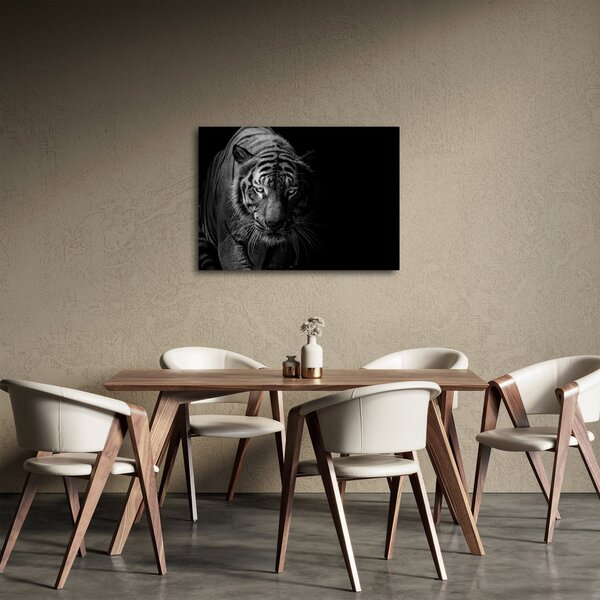Egy vadtigris képe (70x50 cm)