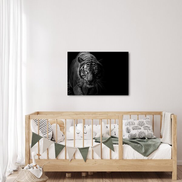 Egy vadtigris képe (70x50 cm)