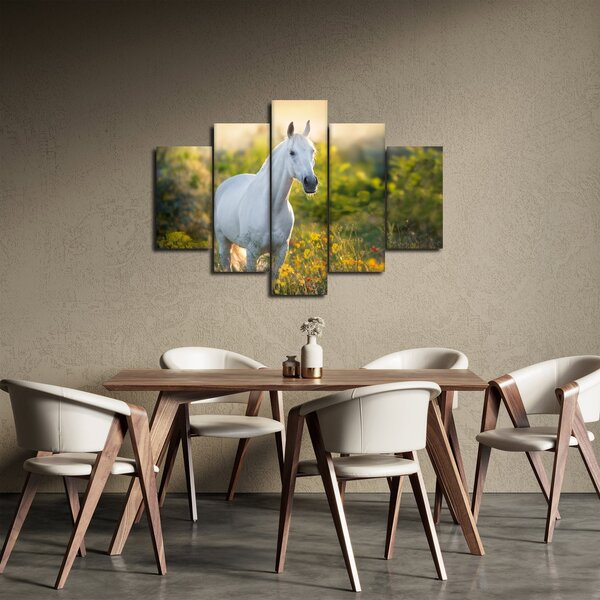 Egy fehér ló képe a réten (150x105 cm)
