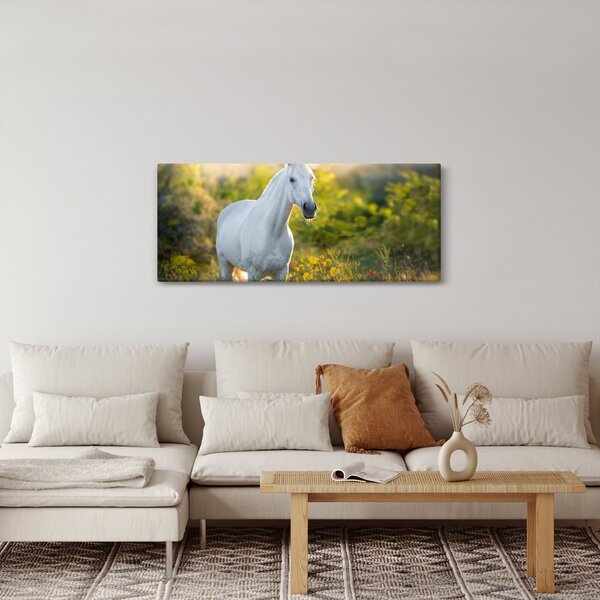 Egy fehér ló képe a réten (120x50 cm)
