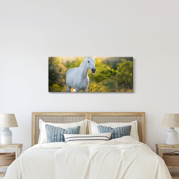 Egy fehér ló képe a réten (120x50 cm)