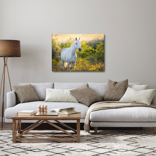 Egy fehér ló képe a réten (70x50 cm)