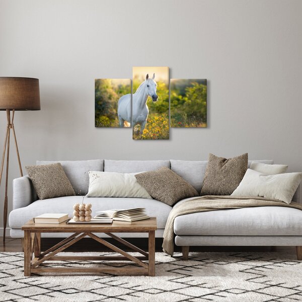 Egy fehér ló képe a réten (90x60 cm)