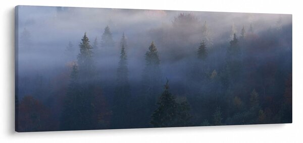 Kép - erdő a ködben, Carpathians, Ukraina (120x50 cm)