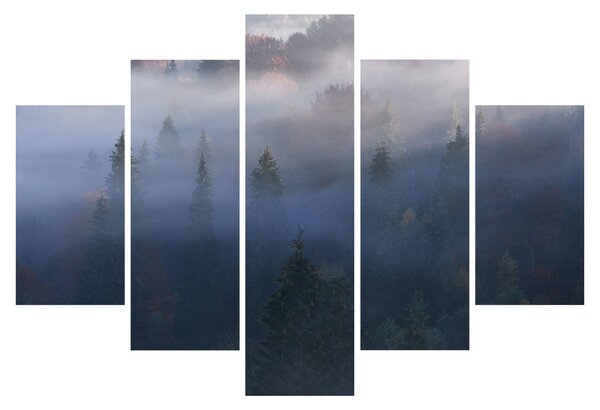 Kép - erdő a ködben, Carpathians, Ukraina (150x105 cm)