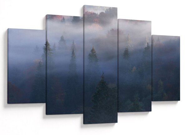 Kép - erdő a ködben, Carpathians, Ukraina (150x105 cm)