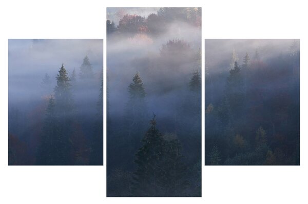 Kép - erdő a ködben, Carpathians, Ukraina (90x60 cm)