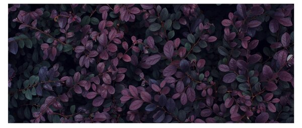 Sötétvörös levelek képe (120x50 cm)