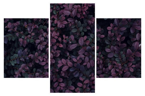 Sötétvörös levelek képe (90x60 cm)