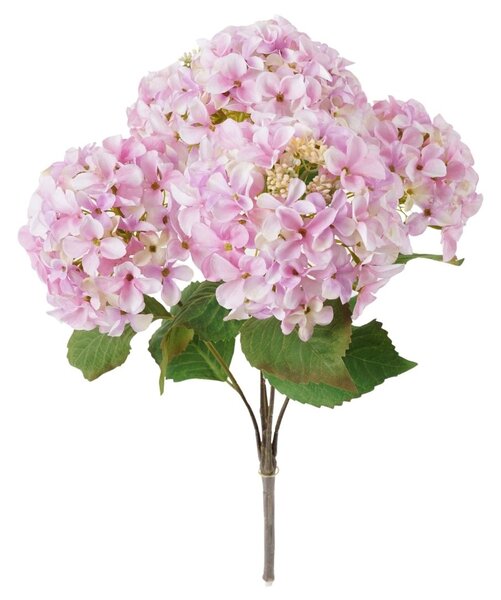 Hortenzia csokor peach