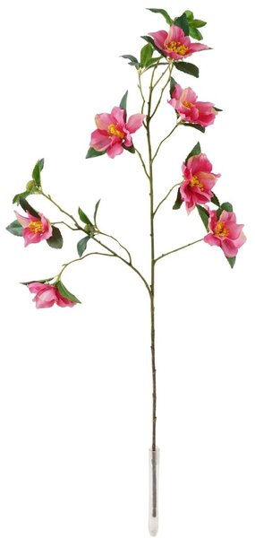 Karácsonyi rózsa pink
